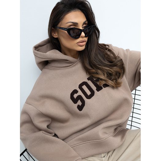 Bluza-RV-BL-A1043.17-ciemny bezowy 1