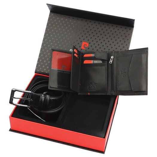 Dovanų komplektas vyrams Pierre Cardin ZG-109-BR F 2