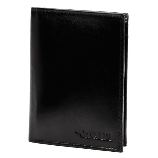 Cavaldi 0800-P-BS RFID 2