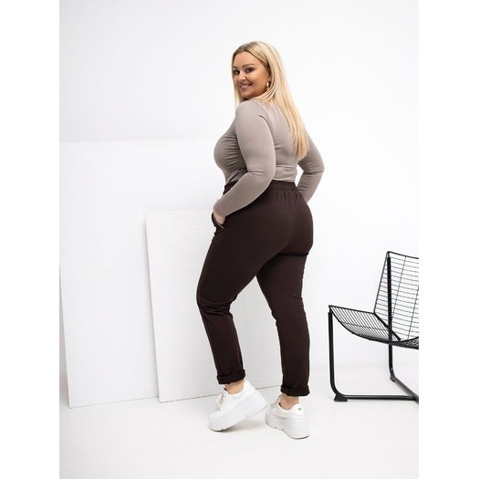 Spodnie dresowe-RV-DR-4765.52-ciemny brązowy 1