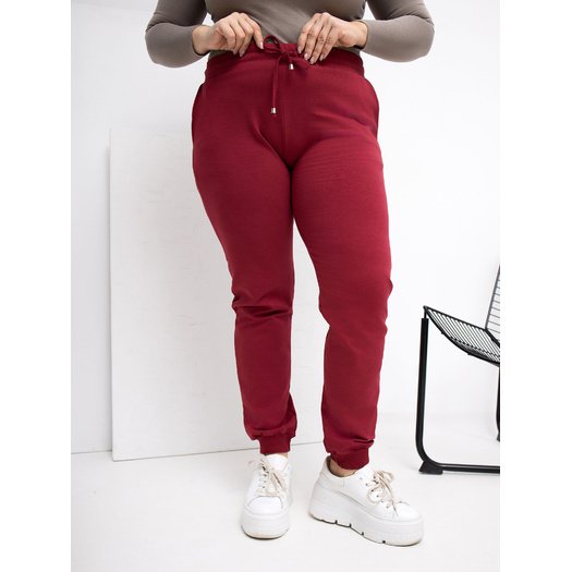Spodnie dresowe-RV-DR-6301.88-bordowy 3