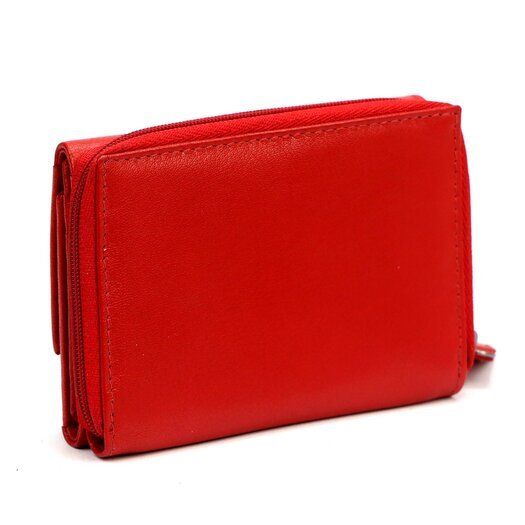Pierre Cardin TILAK161 36 4