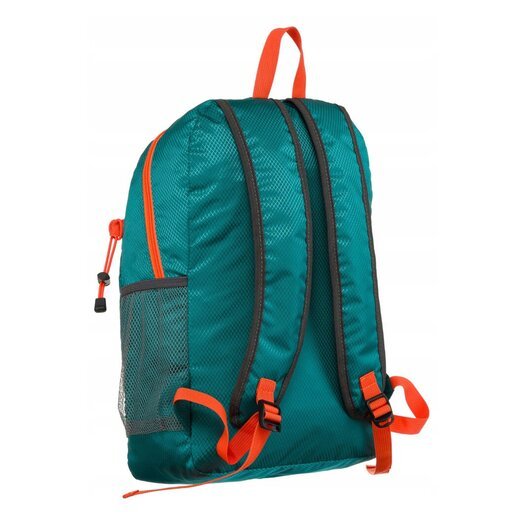 Peterson PTN 23006