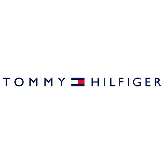 ZEGAREK MĘSKI TOMMY HILFIGER 1792027 BLAZE (zf118a) 5