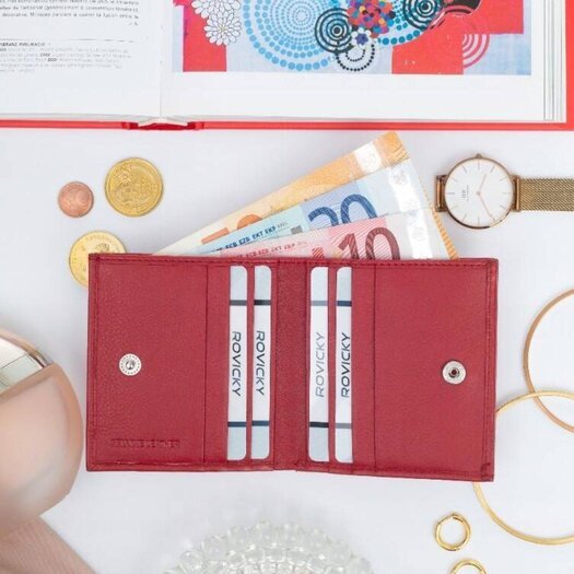 Rovicky R-23-26-LFN 4