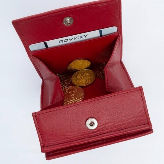 Rovicky R-23-26-LFN 5