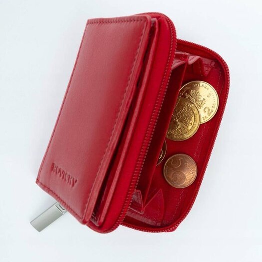 Rovicky R-23-17-LFN 5