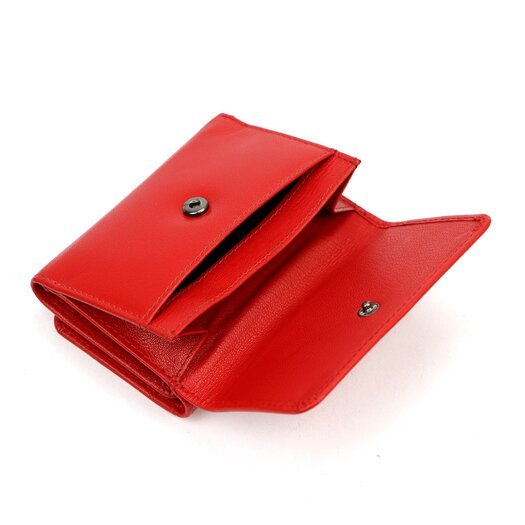 Pierre Cardin TILAK161 1835 8