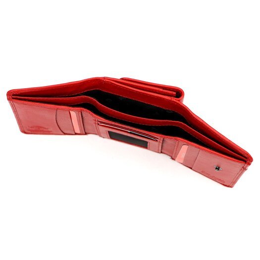 Pierre Cardin TILAK161 1835 7