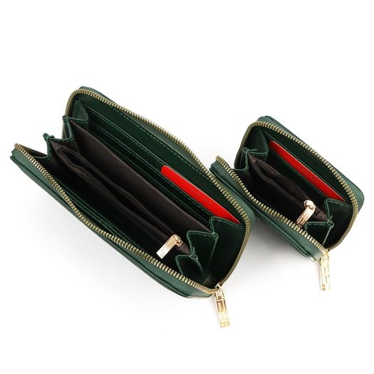 Pierre Cardin WX48 8822+5240