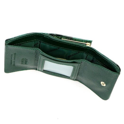 Gregorio FRL-126 7