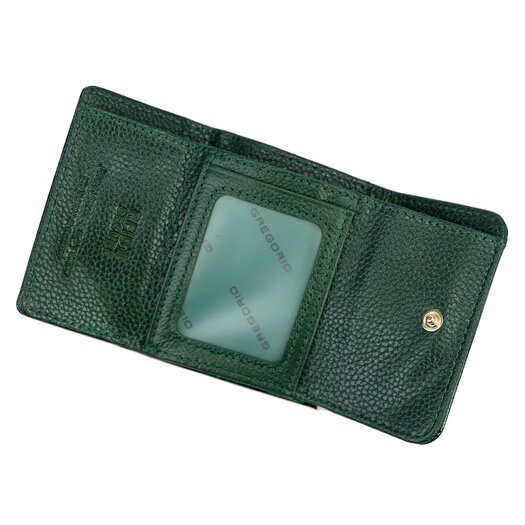 Gregorio FRL-126 6