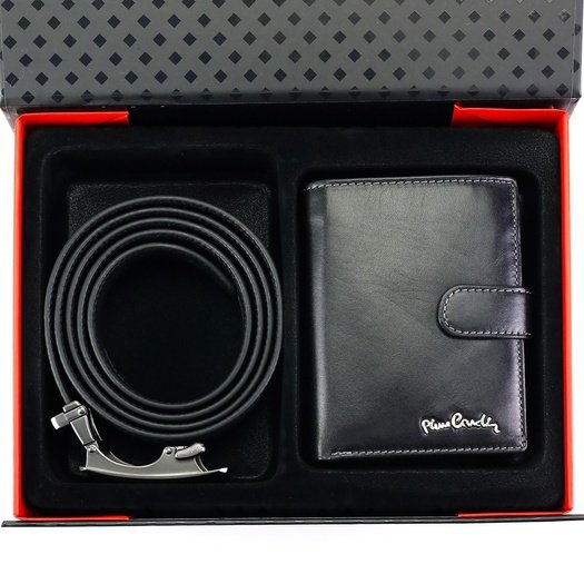 Kinkekomplekt meestele Pierre Cardin ZG-209-BA