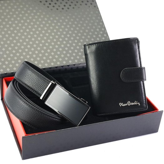 Kinkekomplekt meestele Pierre Cardin ZG-211-BA