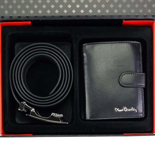 Kinkekomplekt meestele Pierre Cardin ZG-211-BA