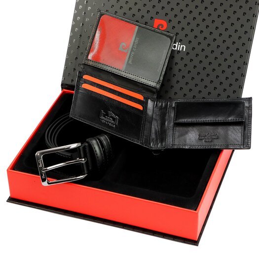 Pierre Cardin ZG-141 6