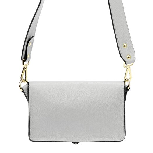 Gregorio 1713 DOLLARO 12