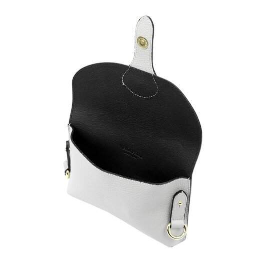 Gregorio 1713 DOLLARO 14