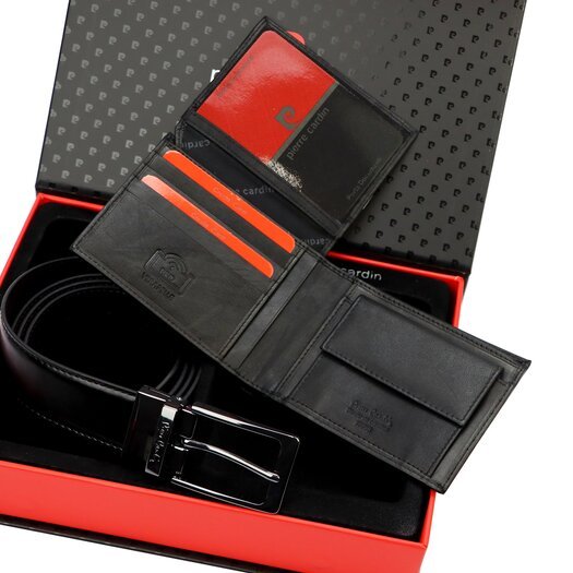 Pierre Cardin ZG-134-BR-130
