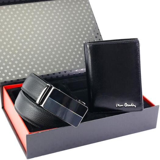 Pierre Cardin ZG-212-BA