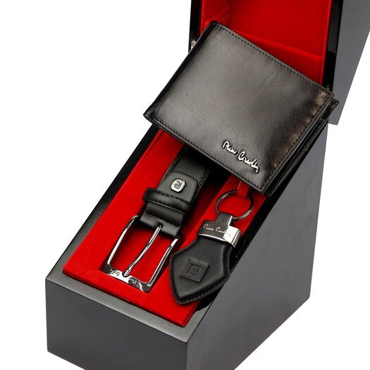 Pierre Cardin ZG-219 PREMIUM VIP 6