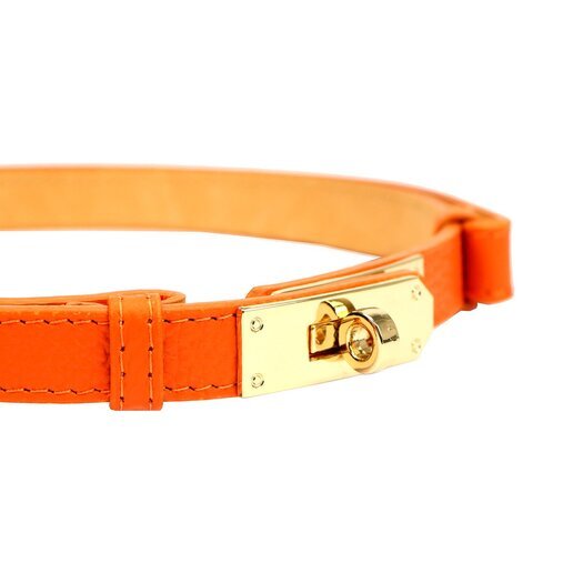 Luka PASEK 26-030 DOLLARO 2