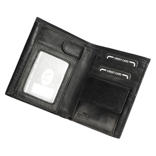 Pierre Andreus PW-003-BTU