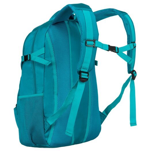 Peterson PTN PWY-02 4