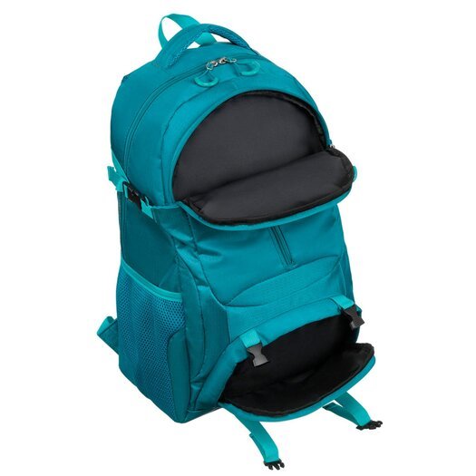 Peterson PTN PWY-02 3