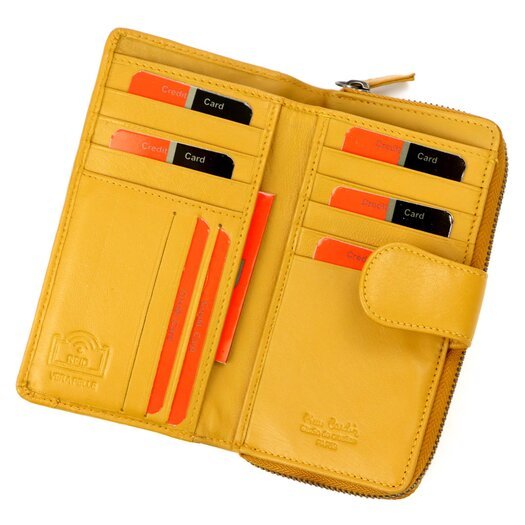 Pierre Cardin TILAK131 2202