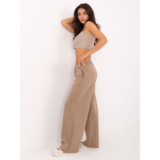 Spodnie-IT-SP-21559.75-ciemny bezowy