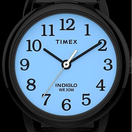 Laikrodis moterims TIMEX EASY READER Classic T2H331UP + BOX