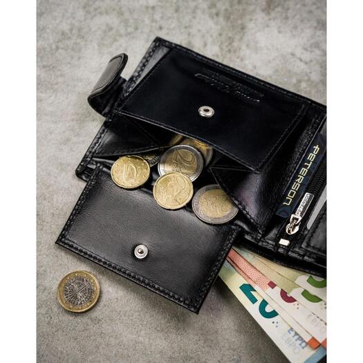 Peterson PTN N992L-NGV 6