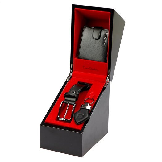 Pierre Cardin ZG-220 PREMIUM VIP 1