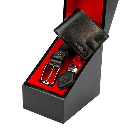 Pierre Cardin ZG-220 PREMIUM VIP 6