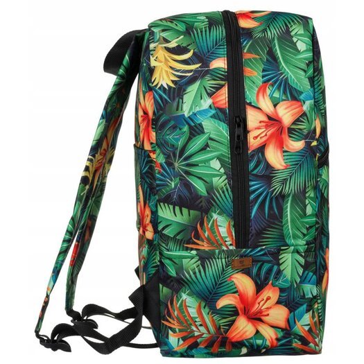 Peterson PTN PLEC-03 4