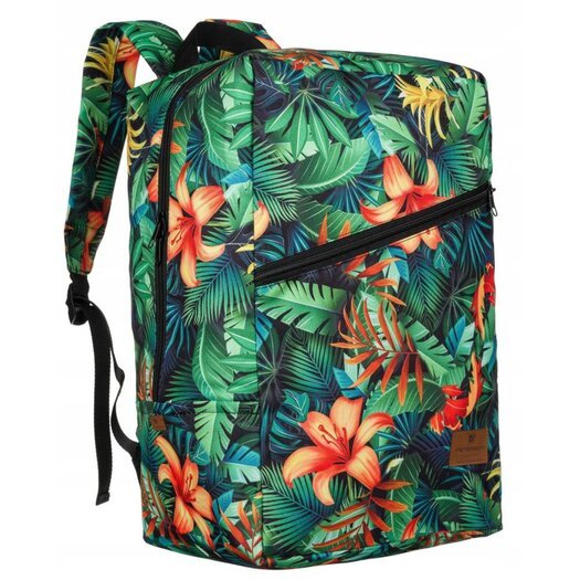 Peterson PTN PLEC-03 1