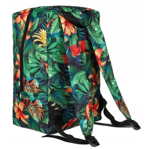 Peterson PTN PLEC-03 2