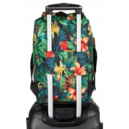 Peterson PTN PLEC-03 3