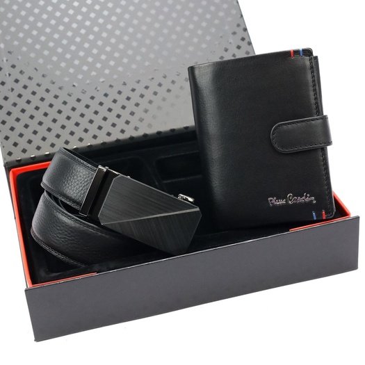 Kinkekomplekt meestele Pierre Cardin ZG-207-BA