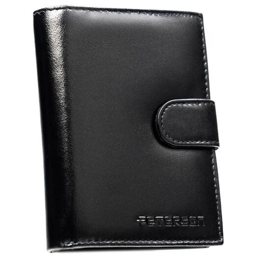 Peterson PTN N4L-NGV 2