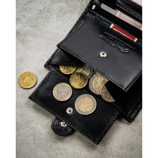 Peterson PTN N4L-NGV 6