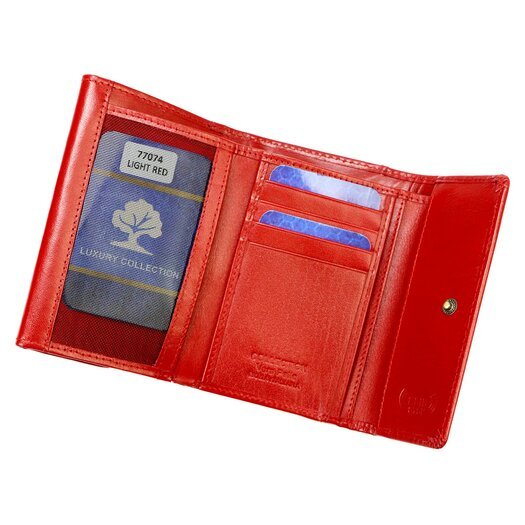 Cefirutti 77074 RFID 6