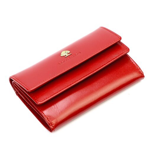 Cefirutti 77074 RFID 4