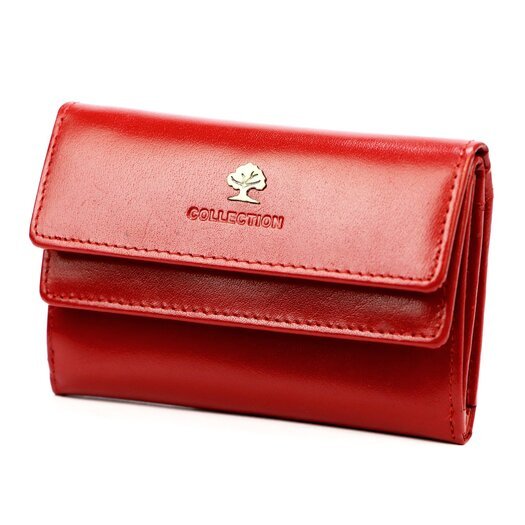 Cefirutti 77074 RFID 1