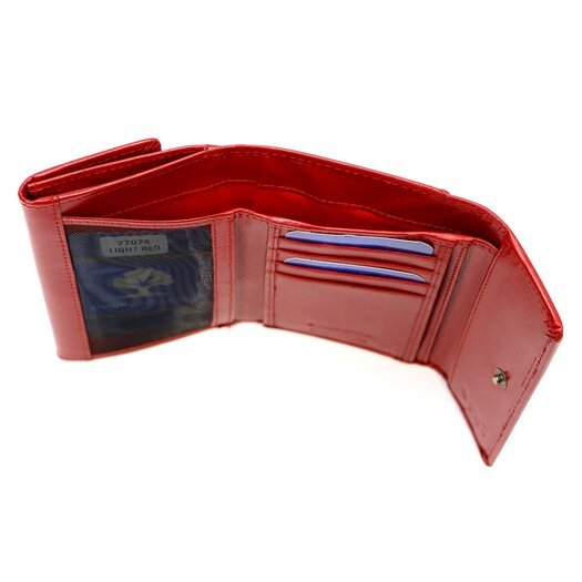 Cefirutti 77074 RFID 7