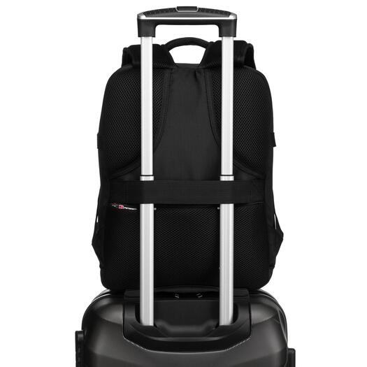 Peterson PTN PLG-01-D 4