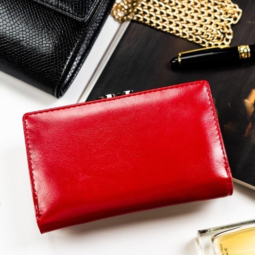 Women’s Wallet Rovicky RPN-23-YM