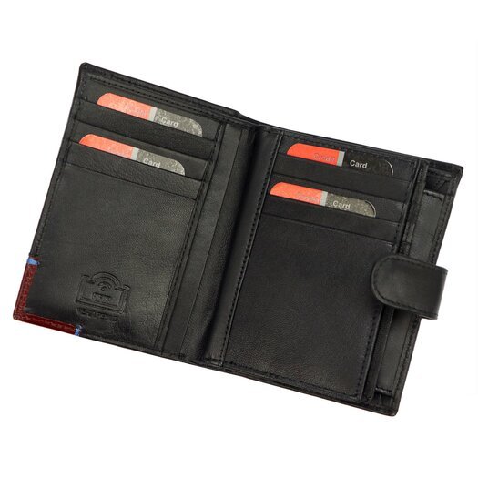 Pierre Cardin TILAK75 331A 4