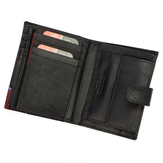 Pierre Cardin TILAK75 331A 6